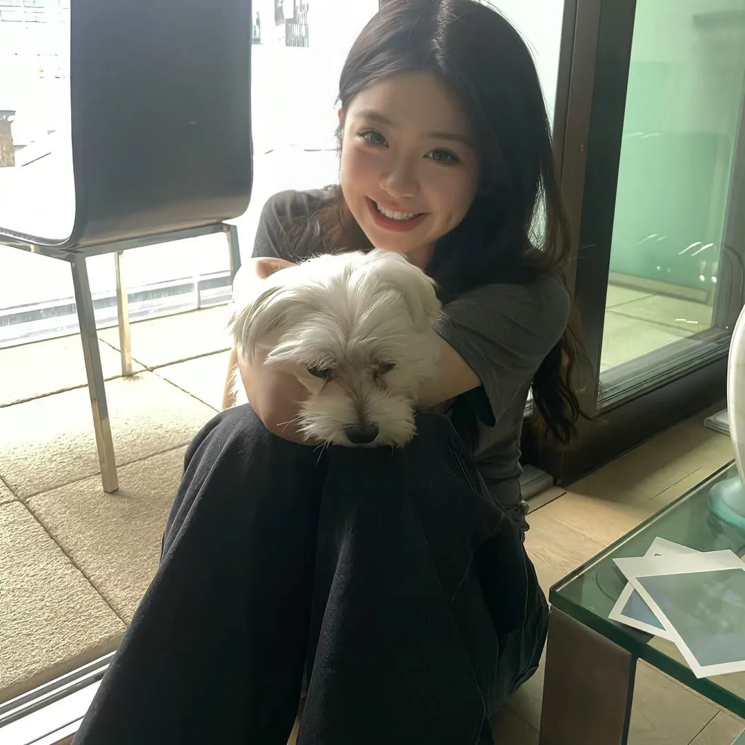 狗脸记